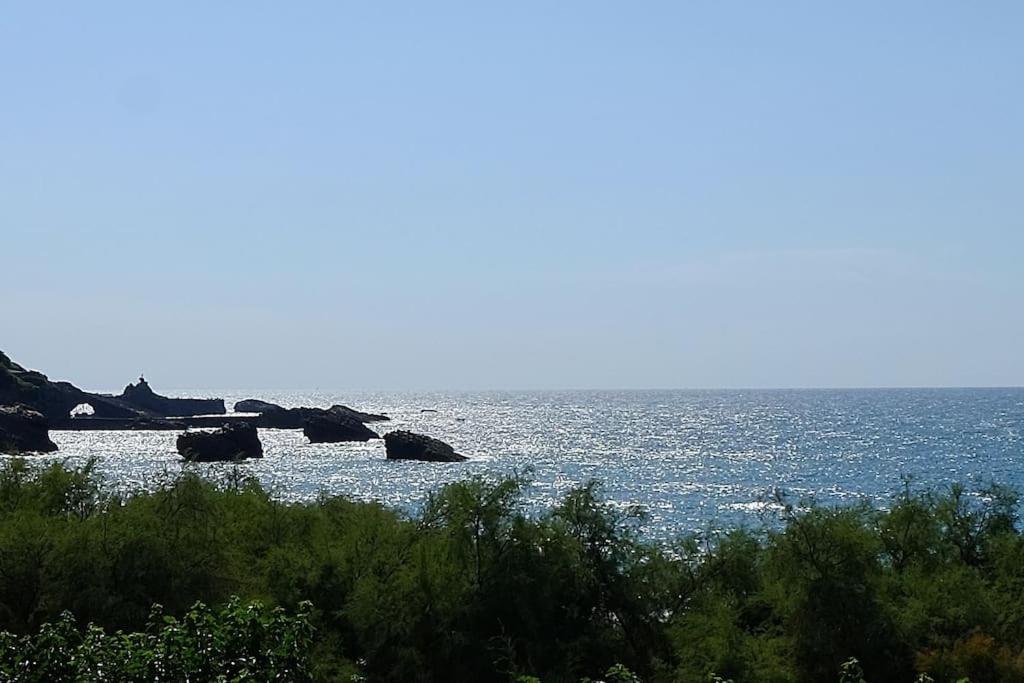 ביאריץ Appartement Le Sahel - Vue Imprenable Sur L'Ocean מראה חיצוני תמונה